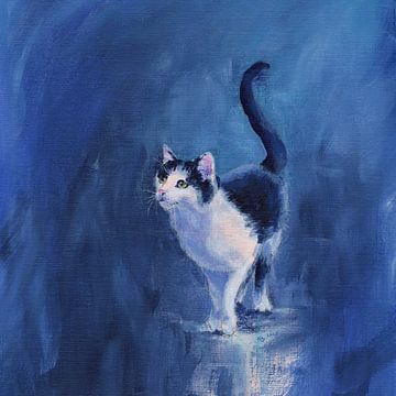 Glückliche Tuxedo Katze quadratisch