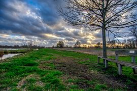 Bankje aan de rand van Westbroek.