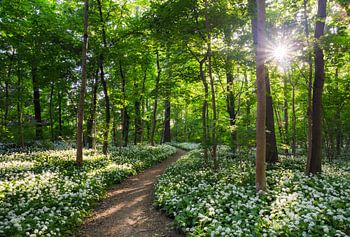 Manieren om te ontspannen XI