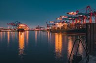 Containerhaven Hamburg van Steffen Peters thumbnail