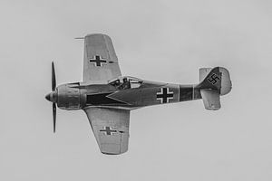 Vorbeiflug einer Focke-Wulf Fw-190-A8 Replika (N190BR) während der Thunder over Michigan Airshow!