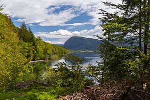 Vue sur Bohinj
