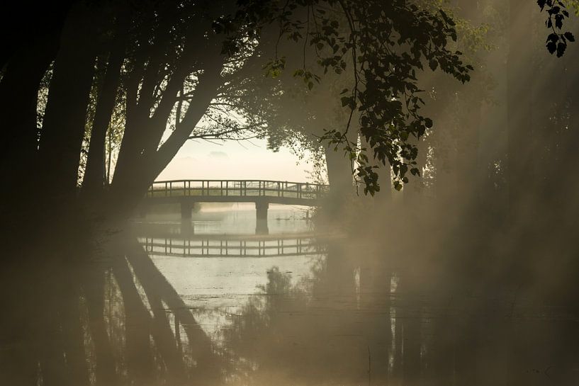 pont de la forêt par Bart Hardorff