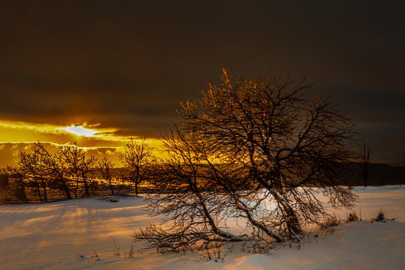 Ore Mountains at the Golden Hour in Winter by Johnny Flash