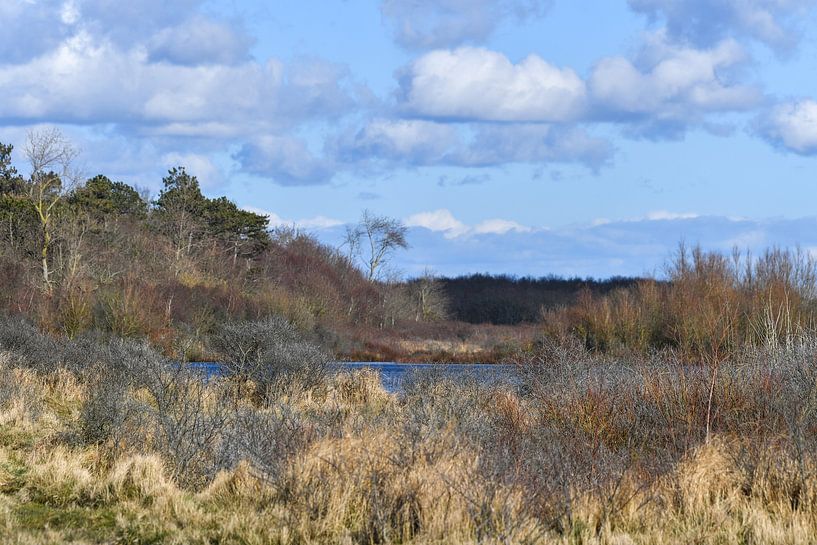Wei van Brasser van Shirley Douwstra