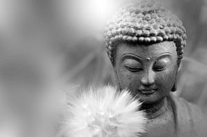 Meditation in Schwarz-Weiß