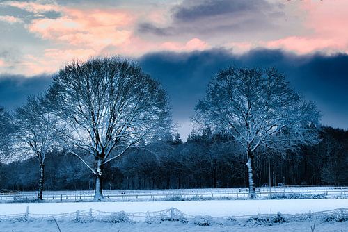 Winter in Diepenveen 1