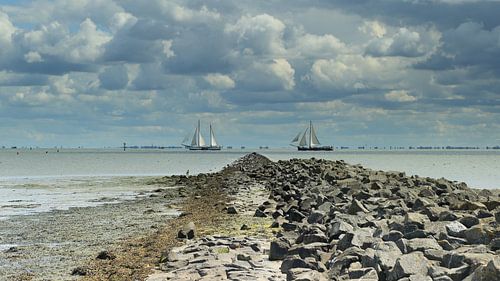 Ameland dans toute sa splendeur sur Rinnie Wijnstra (FotoAmeland )
