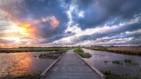 Heavy weather along the bicycle path Onlanden near Cnossen by R Smallenbroek thumbnail