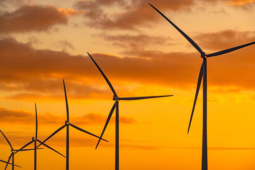 Wind turbines in wind park during sunset by Sjoerd van der Wal Photography