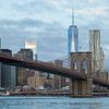Brooklyn Bridge van LiquesArt