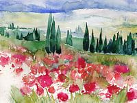 Toskana mit Mohn