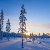Landschaft im Winter mit Sonnenuntergang und Wald in Äkäslompo von Rico Ködder