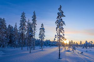 Landschaft im Winter mit Sonnenuntergang und Wald in Äkäslompo