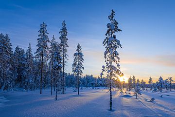 Paysage hivernal avec coucher de soleil et forêt à Äkäslompo