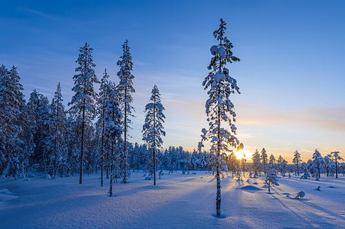 Landschaft im Winter mit Sonnenuntergang und Wald in Äkäslompo von Rico Ködder