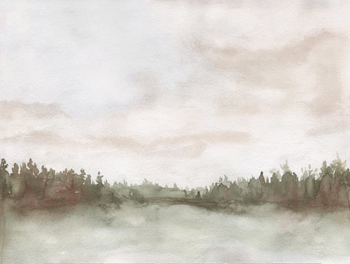 Misty Forest Morning