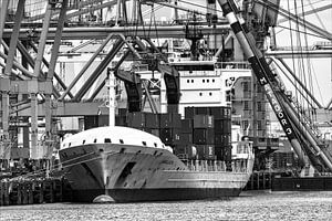 Harbour View 2