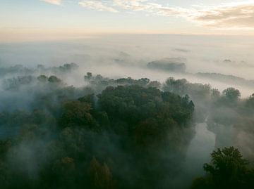 Mistig bos vanuit de lucht tijdens de herfst van Sjoerd van der Wal Fotografie