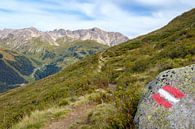 Alpenrosenweg, St. Anton am Arlberg von Johan Vanbockryck Miniaturansicht
