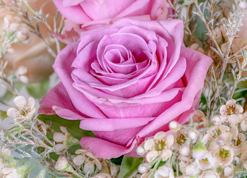 Pink rose blossom in a bouquet by ManfredFotos
