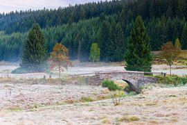 Kleine Steinbrücke im Erzgebirge