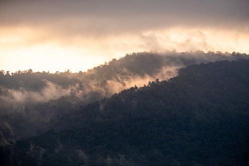 Zonsopkomst boven de jungle in Kenia 2