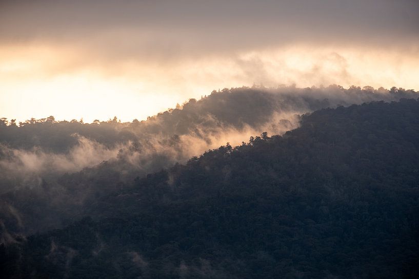 Zonsopkomst boven de jungle in Kenia 2 van Andy Troy