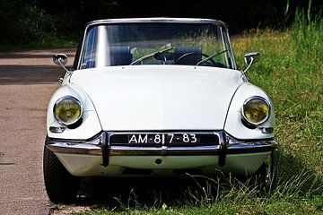 Citroën DS Cabriolet sur Pieter van Dijken