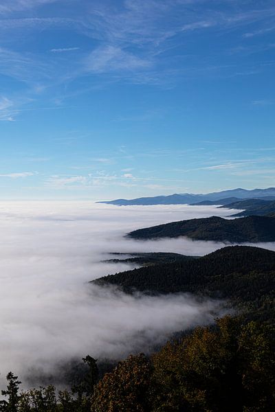 View of the Rhine valley from Castle Haut-Koenigsbourg in the Eastern Vosges (standing) by André Blom Fotografie Utrecht