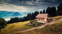 Rigi von Severin Pomsel Miniaturansicht