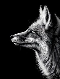 Fuchs im Profil – Elegantes Schwarzweiß Tierporträt von drdigitaldesign