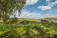 Horses in Dutch landscape by Moetwil en van Dijk - Fotografie thumbnail