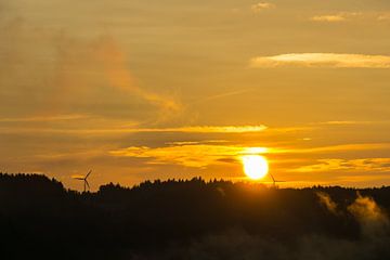 Schwarzwald Deutschland, Warm orange Sonnenuntergang hinter Horizont der Bäume von adventure-photos