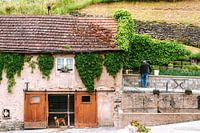 Ancienne école
