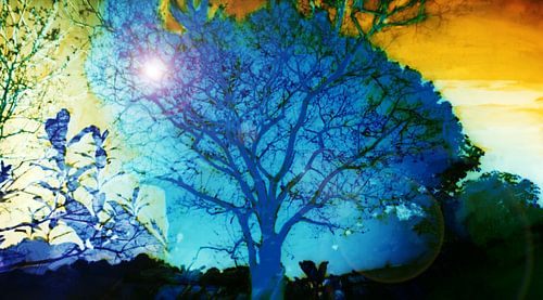 Bluesun sur Bob Karhof