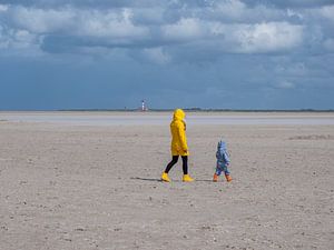 Wattenmeer am Westerheversand Leuchtturm an der Nordsee von Animaflora PicsStock