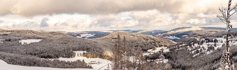 View over the Black Forest near Titisee by Alexander Wolff