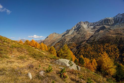 Mélèzes dorés et paysage à Arolla Valais