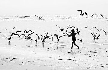 Chasing Birds by Eus Driessen
