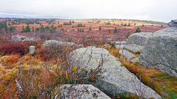 Heideveld met rotsen in de Vogezen van Jos van den berg