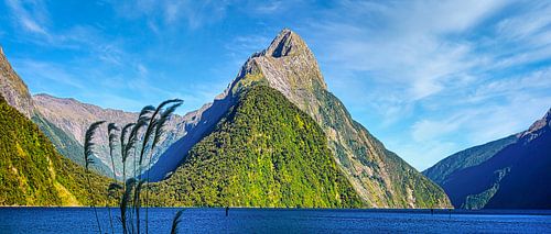 Milford Sound, Nieuw Zeeland