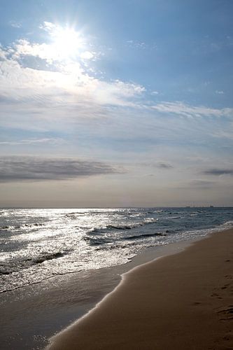 Backlight by Ostsee Bilder