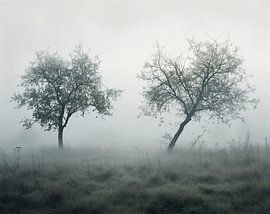 Herbstnebel