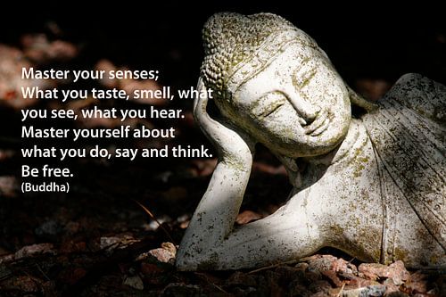 Beheers uw zintuigen; wat u proeft,