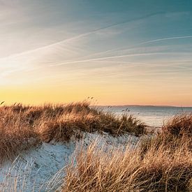 Beach dunes on the Baltic Sea by Ursula Reins