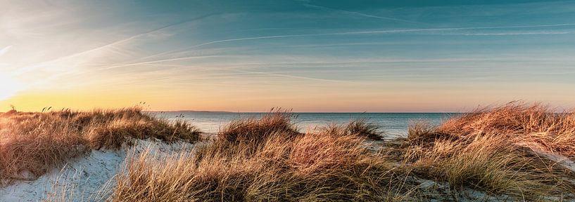 Dunes de la mer Baltique par Ursula Reins