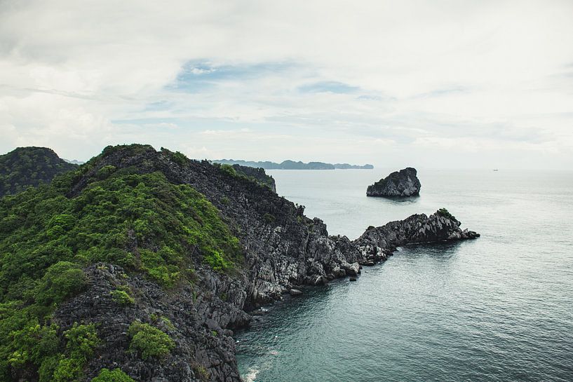 Milford Sound Neuseeland von Tom in 't Veld