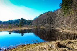 Mirror image by Roger Hagelstein