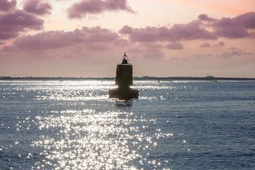 Evening on the Western Scheldt by Lisette van Peenen